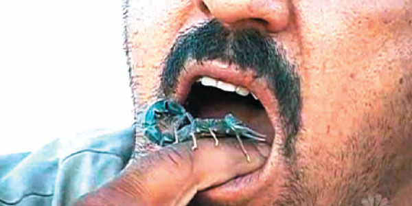 tamil news, tamil news paper, tamil newspaper, tamil evening news paper