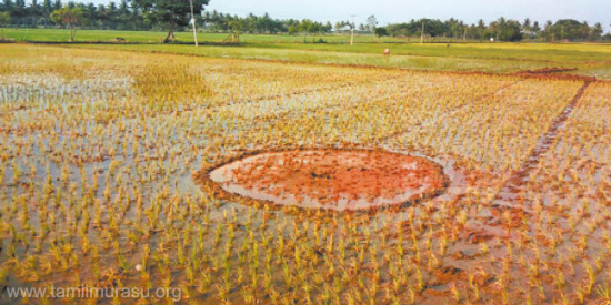 tamil news, tamil news paper, tamil newspaper, tamil evening news paper