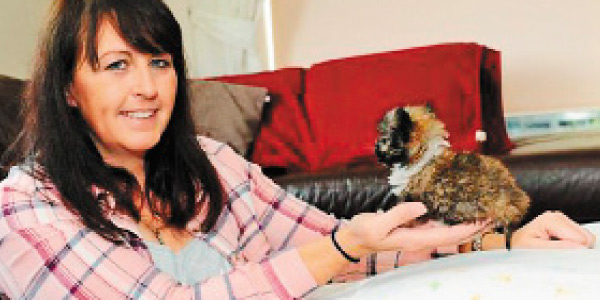 tamil news, tamil news paper, tamil newspaper, tamil evening news paper