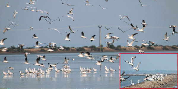 tamil news, tamil news paper, tamil newspaper, tamil evening news paper