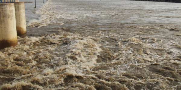 tamil news, tamil news paper, tamil newspaper, tamil evening news paper