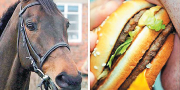 That deprives the risk of human life: Pizza, Burger, Horse Meat, throughout Europe Supply