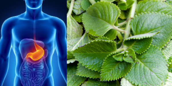 tamil news, tamil news paper, tamil newspaper, tamil evening news paper