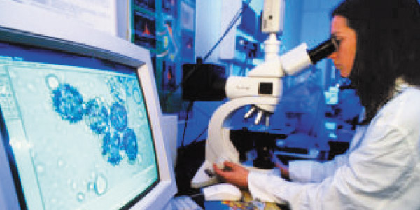 tamil news, tamil news paper, tamil newspaper, tamil evening news paper