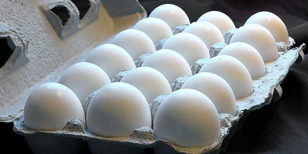 Ah, the power of the mega corruption and abuse continued malnutrition egg: egg tabloid report that the addition of 50 cents