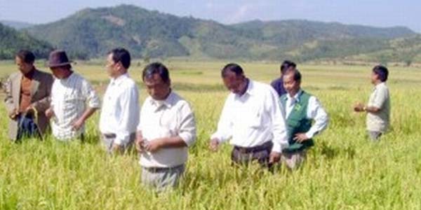 tamil news, tamil news paper, tamil newspaper, tamil evening news paper