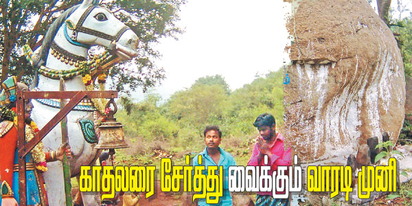 tamil news, tamil news paper, tamil newspaper, tamil evening news paper