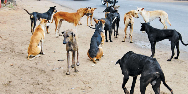 tamil news, tamil news paper, tamil newspaper, tamil evening news paper