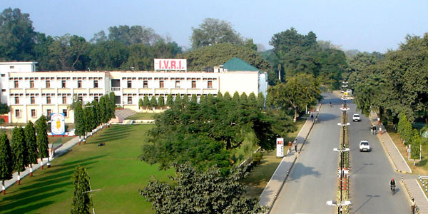 tamil news, tamil news paper, tamil newspaper, tamil evening news paper