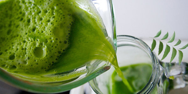 tamil news, tamil news paper, tamil newspaper, tamil evening news paper