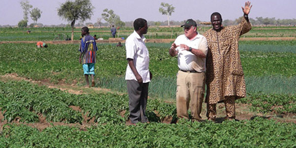 tamil news, tamil news paper, tamil newspaper, tamil evening news paper