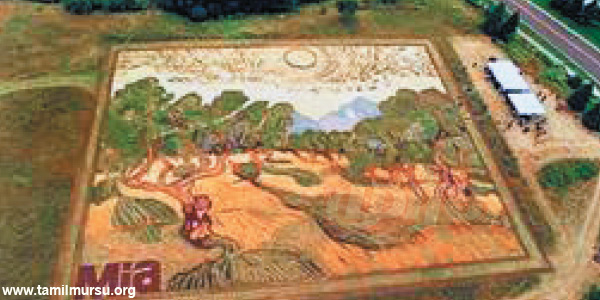 tamil news, tamil news paper, tamil newspaper, tamil evening news paper