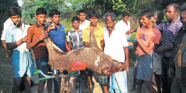 tamil news, tamil news paper, tamil newspaper, tamil evening news paper