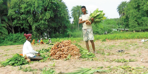 tamil news, tamil news paper, tamil newspaper, tamil evening news paper