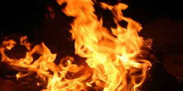 tamil news, tamil news paper, tamil newspaper, tamil evening news paper