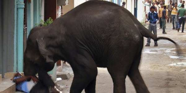 tamil news, tamil news paper, tamil newspaper, tamil evening news paper