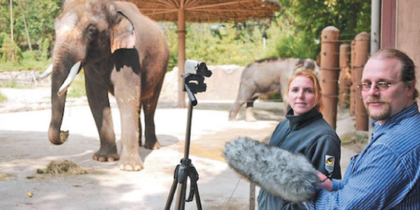 tamil news, tamil news paper, tamil newspaper, tamil evening news paper