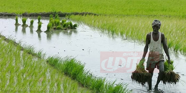 tamil news, tamil news paper, tamil newspaper, tamil evening news paper