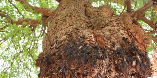 tamil news, tamil news paper, tamil newspaper, tamil evening news paper