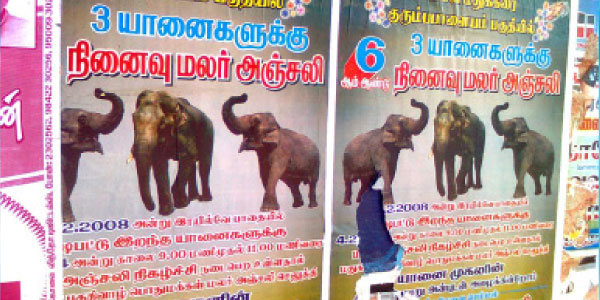 tamil news, tamil news paper, tamil newspaper, tamil evening news paper