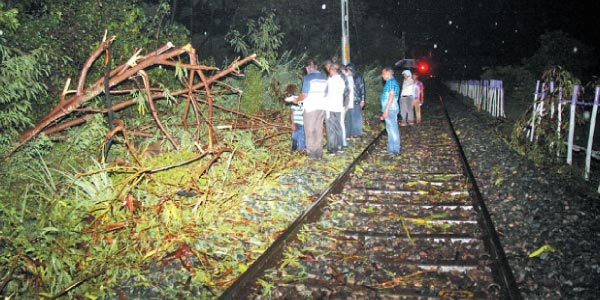 Teacher eligibility test question paper, the authors selected 86 error shock