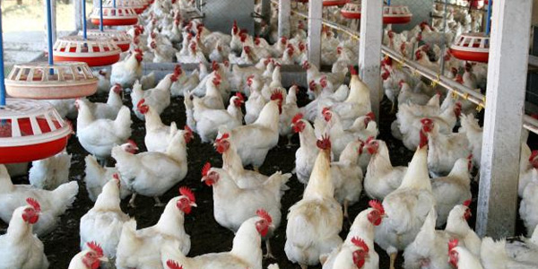 tamil news, tamil news paper, tamil newspaper, tamil evening news paper