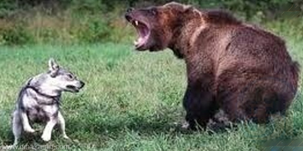 tamil news, tamil news paper, tamil newspaper, tamil evening news paper