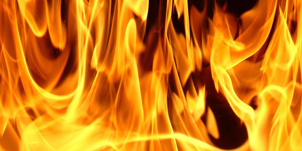 tamil news, tamil news paper, tamil newspaper, tamil evening news paper