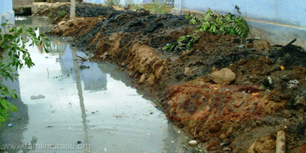 tamil news, tamil news paper, tamil newspaper, tamil evening news paper