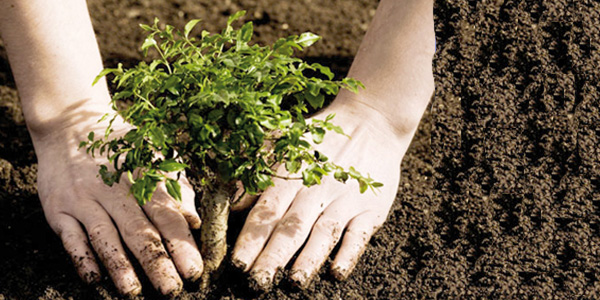 tamil news, tamil news paper, tamil newspaper, tamil evening news paper