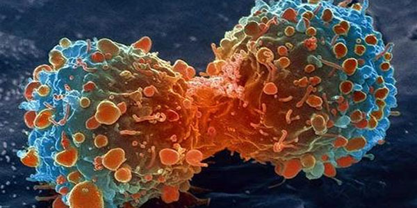 tamil news, tamil news paper, tamil newspaper, tamil evening news paper