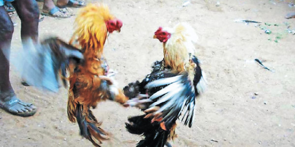 tamil news, tamil news paper, tamil newspaper, tamil evening news paper