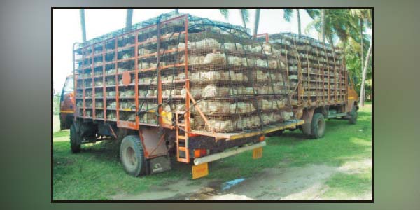 tamil news, tamil news paper, tamil newspaper, tamil evening news paper