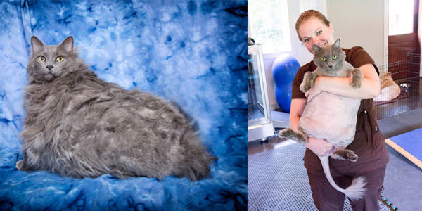 tamil news, tamil news paper, tamil newspaper, tamil evening news paper