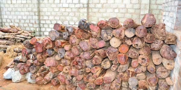 tamil news, tamil news paper, tamil newspaper, tamil evening news paper