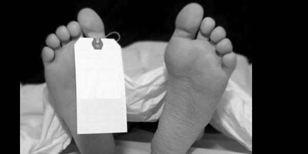 tamil news, tamil news paper, tamil newspaper, tamil evening news paper