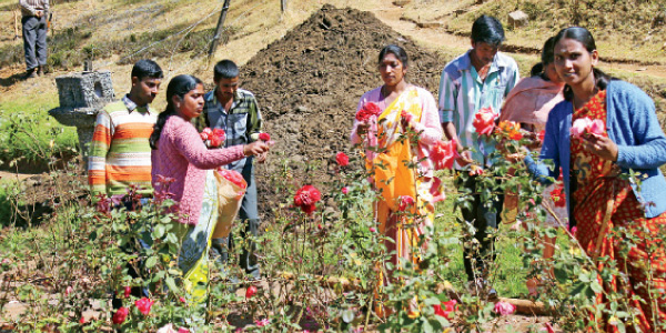 tamil news, tamil news paper, tamil newspaper, tamil evening news paper