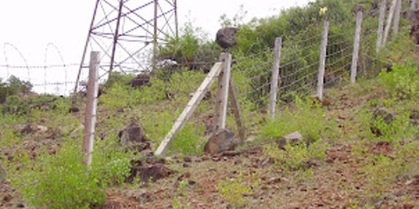 tamil news, tamil news paper, tamil newspaper, tamil evening news paper