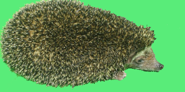 tamil news, tamil news paper, tamil newspaper, tamil evening news paper