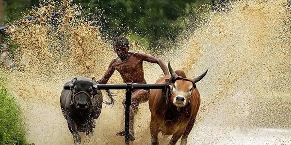 tamil news, tamil news paper, tamil newspaper, tamil evening news paper