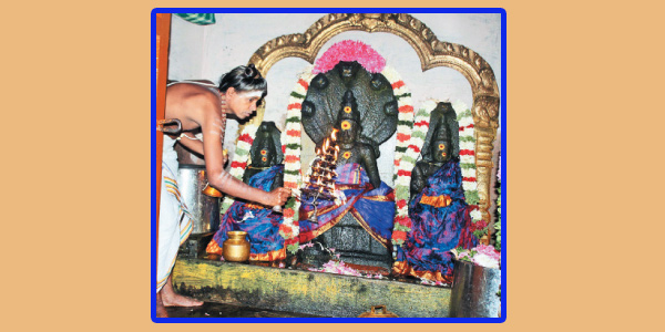 tamil news, tamil news paper, tamil newspaper, tamil evening news paper