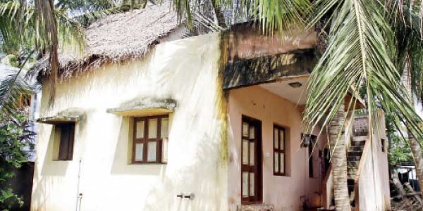 tamil news, tamil news paper, tamil newspaper, tamil evening news paper