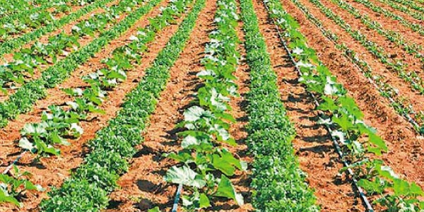 tamil news, tamil news paper, tamil newspaper, tamil evening news paper