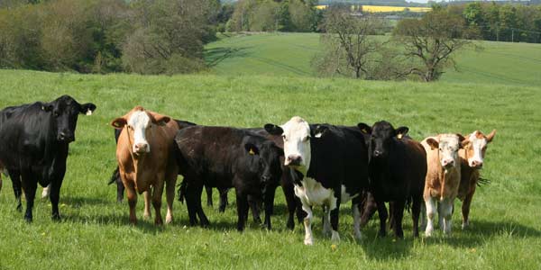 tamil news, tamil news paper, tamil newspaper, tamil evening news paper