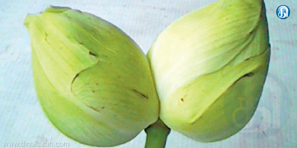 tamil news, tamil news paper, tamil newspaper, tamil evening news paper