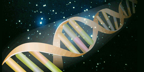 tamil news, tamil news paper, tamil newspaper, tamil evening news paper