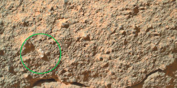 Such as the pearl-colored flower on Mars? : NASA scientists wonder