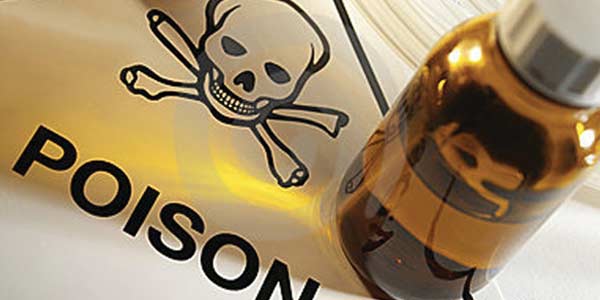 tamil news, tamil news paper, tamil newspaper, tamil evening news paper