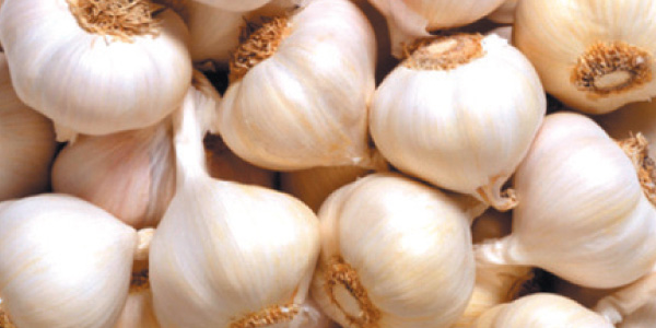 tamil news, tamil news paper, tamil newspaper, tamil evening news paper