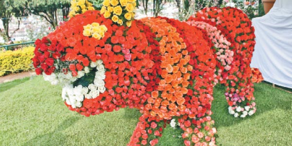 tamil news, tamil news paper, tamil newspaper, tamil evening news paper